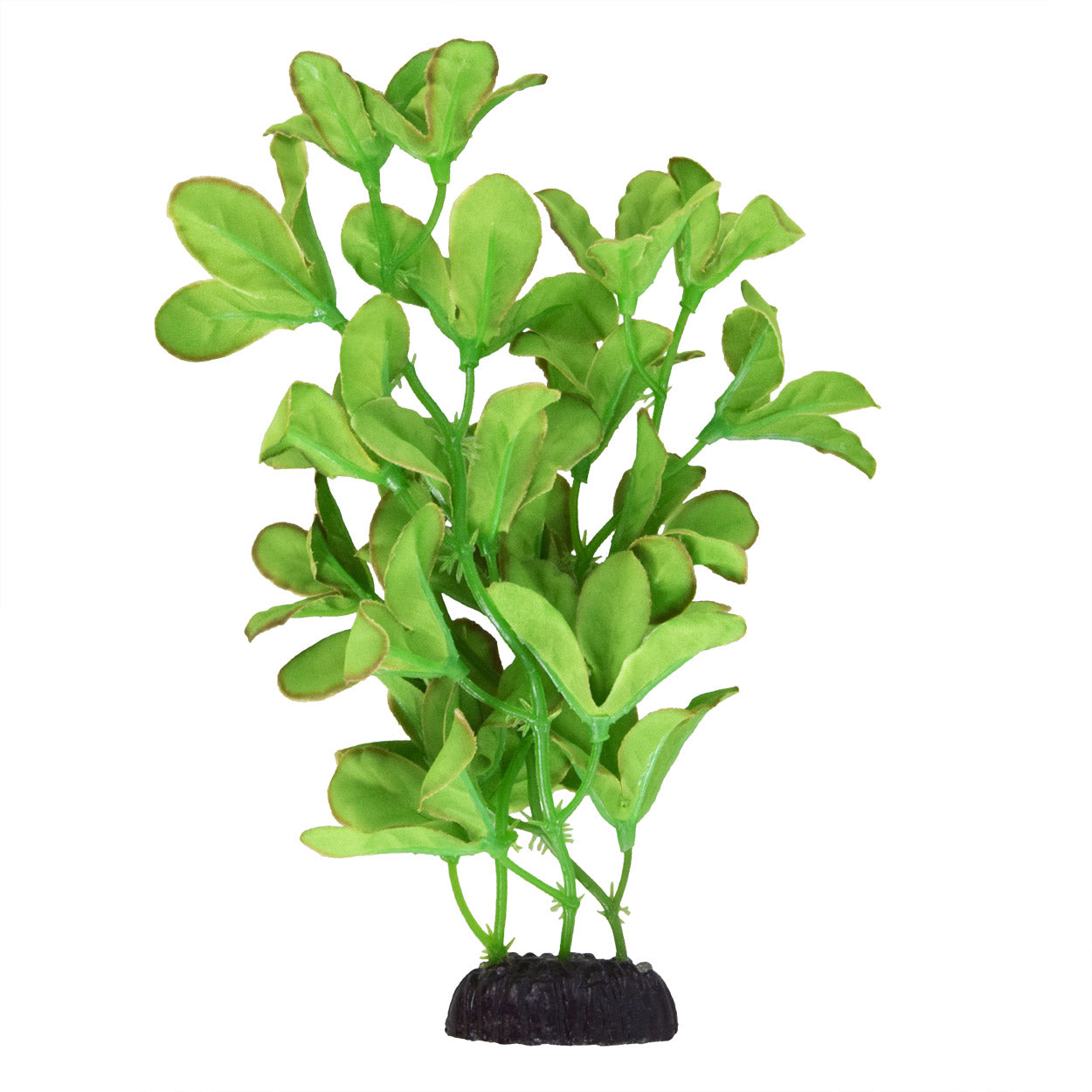 Underwater Treasures Silk Bacopa Monnieri - 20"