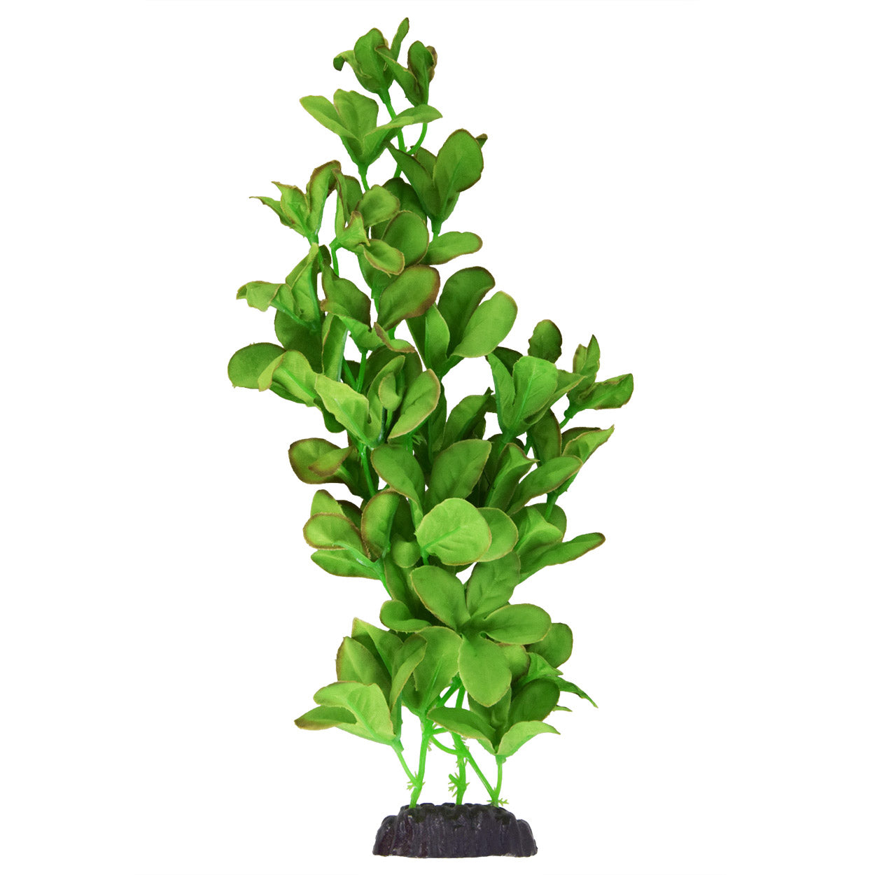 Underwater Treasures Silk Bacopa Monnieri - 20"