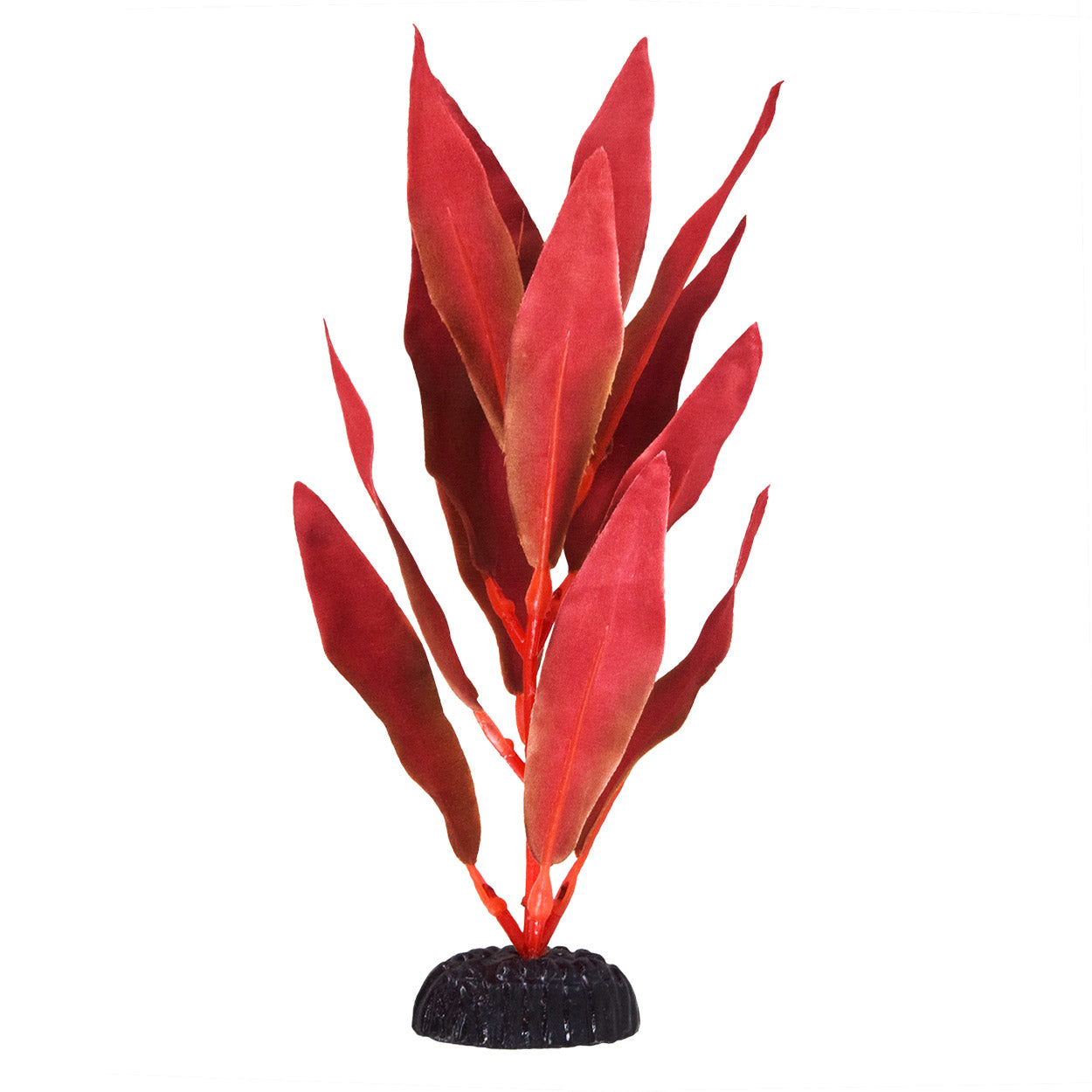 Underwater Treasures Silk Red Hygro - 12"