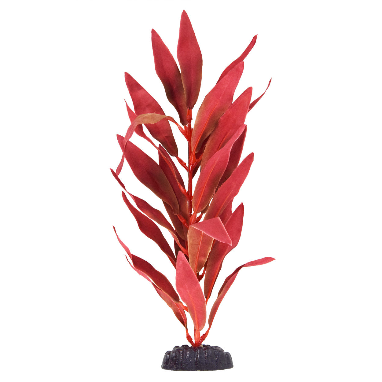 Underwater Treasures Silk Red Hygro - 12"
