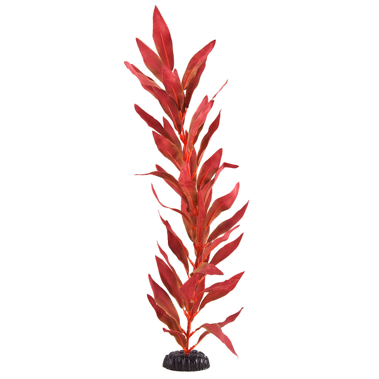 Underwater Treasures Silk Red Hygro - 12"