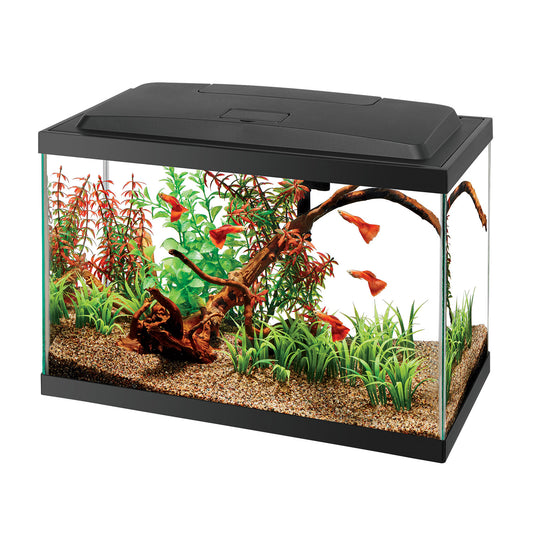 Aqueon LED Aquarium Kit - 5.5 Gal