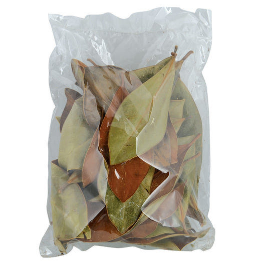 JRP MAGNOLIA LEAF LITTER