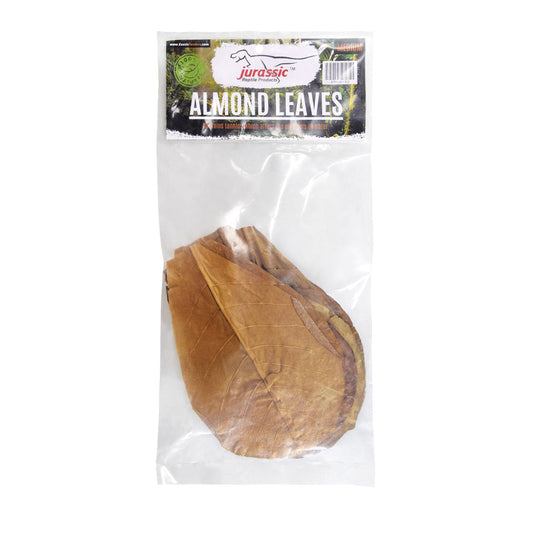 Jurassic Reptile Products Almond Leaves