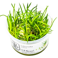TROPICA 1-2-GROW! LITTORELLA UNIFLORA