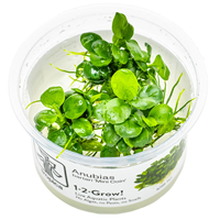 TROPICA 1-2-GROW! ANUBIAS 'MINI COIN'