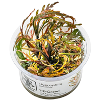 TROPICA 1-2-GROW! HYGROPHILA PINNATIFIDA