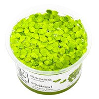TROPICA 1-2-GROW! SPIRO. POLYRRHIZA