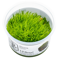 TROPICA 1-2-GROW! RICCIA FLUITANS