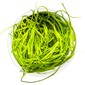 TROPICA 1-2-GROW! JUNCUS REPENS