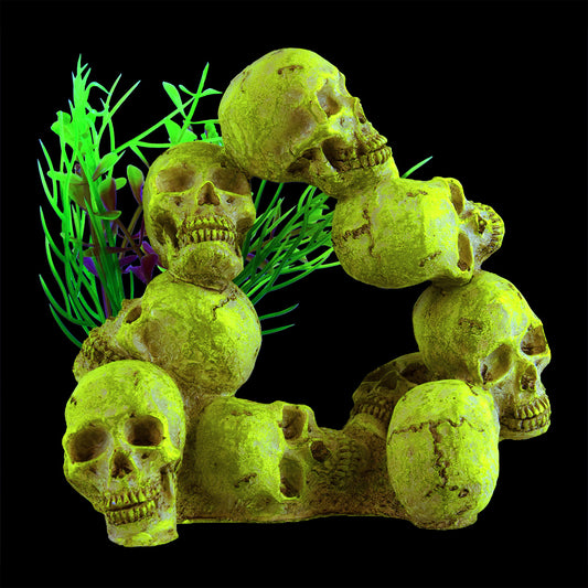 Underwater Treasures Glowing Skulls Large