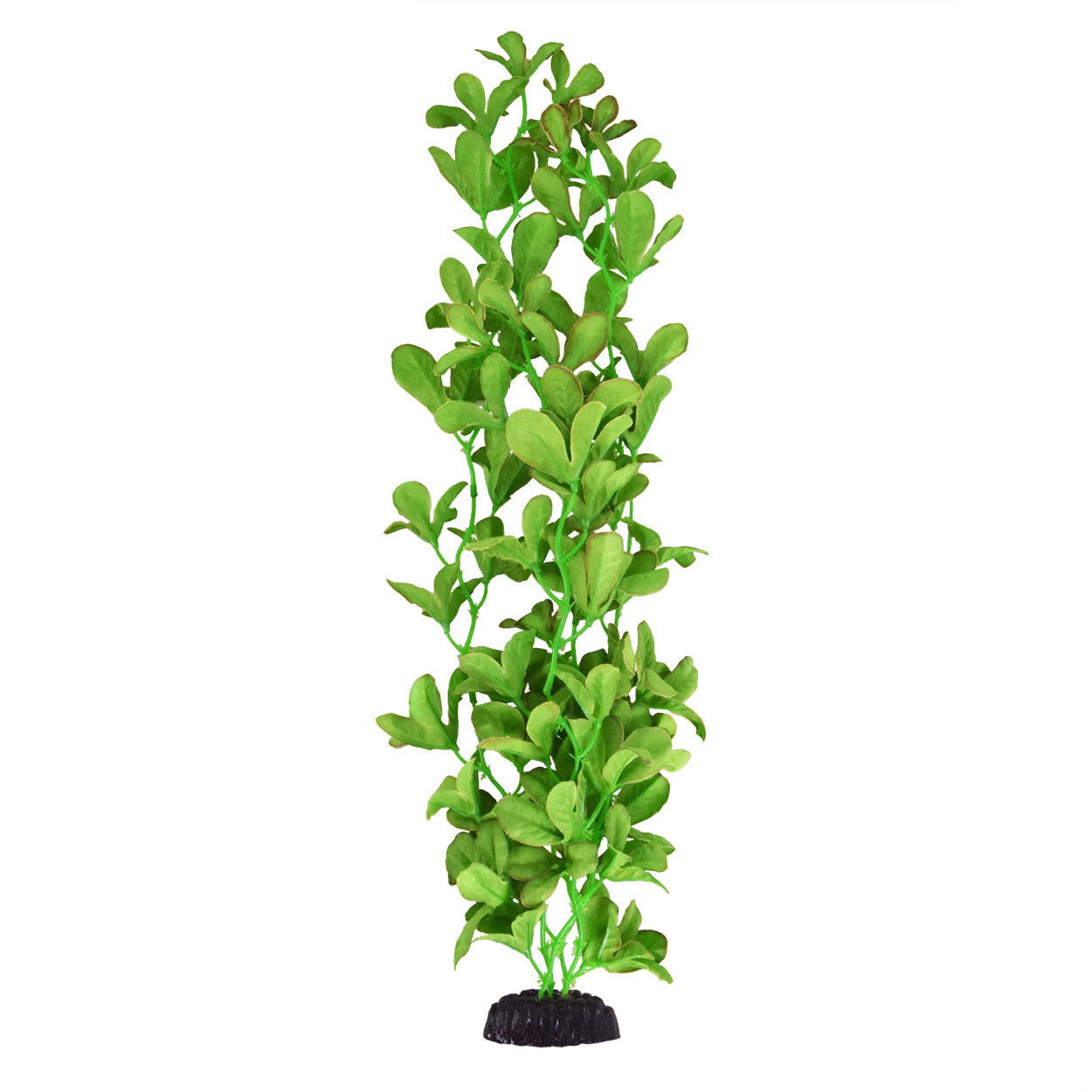 Underwater Treasures Silk Bacopa Monnieri - 20"