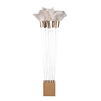 Cat Love Jumbo Feather Wand