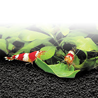Fluval Stratum Volcanic Aquarium Soil 4Kg