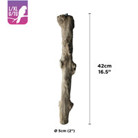 HARI Coffee Wood Bird Perch LG-XL
