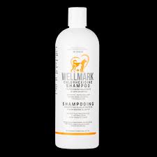 Wellmark Chlorhexidine Shampoo 473 ml