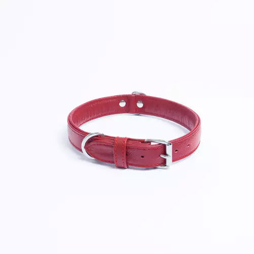 Angel Alpine Collar 22" X 1" Red