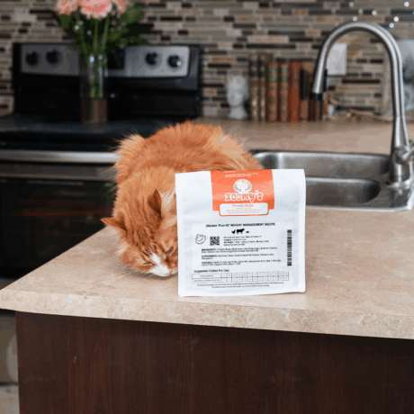 ZOOMYS “SILHOU-CAT” WEIGHT MANAGEMENT